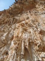SNV80258.JPG